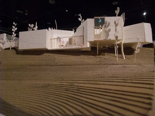 DSCF6765.jpg